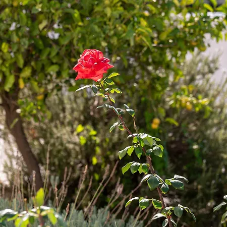 Serenity House - Magic Sunsets Casa vacanze