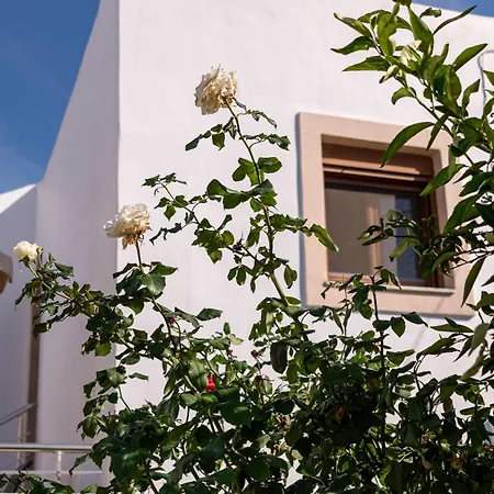 Serenity House - Magic Sunsets