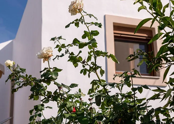 Serenity House - Magic Sunsets