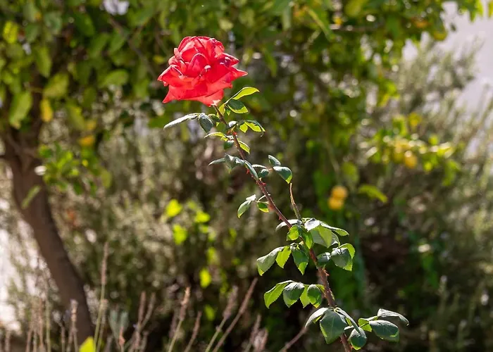 Serenity House - Magic Sunsets Vakantiehuis